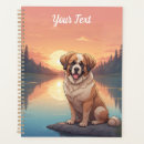 Search for saint bernard gifts Pets