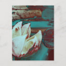 Search for lilly vertical postcards Floral