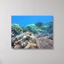 Search for sea turtle canvas prints Photography