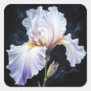 Search for black iris stickers Purple