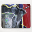 Search for amberes mouse mats Rajasthan