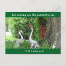 Search for cardinal quotes Nature