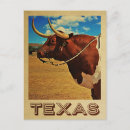 Search for cattle farming postcards Texas