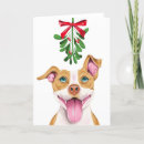 Search for pitbull cards Cute
