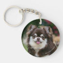 Search for long haired chihuahua key rings Canine photographer