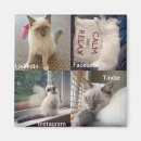 Search for pussi magnets Kitty