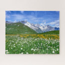 Search for swiss puzzles Europe