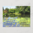 Search for dill pickle postcards Pickles