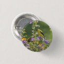 Search for green daisy badges Garden