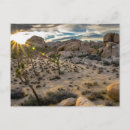 Search for cloud formation Nature photography