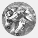 Search for horse illustration stickers Vintage
