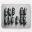 Search for fine art mouse mats Artistic