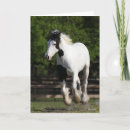 Search for vanner cards Animal