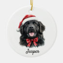 Search for newfoundland dog christmas tree decorations For pets