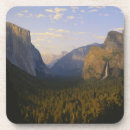 Search for beautiful tree sky coasters Cloud