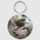 Search for hanging key rings Rainforest