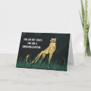 Search for glennon cards Cheetah