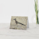 Search for roadrunners cards Nature