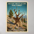 Search for inyo posters Ancient
