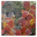 Search for national park tiles Alaska