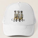 Search for meerkats hats Mongoose