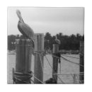 Search for pelican tiles Florida