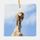 Search for monkey christmas tree decorations Wildlife