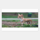 Search for adorable rectangle stickers Sweet