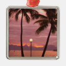 Search for tahiti christmas tree decorations Papeete