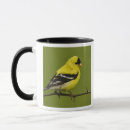 Search for plumage mugs Bird