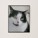 Search for black and white cat puzzles Cute