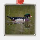 Search for wood duck christmas tree decorations Nature