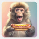 Search for cute monkey square stickers Funny