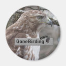 Search for red tails magnets Nature