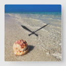 Search for shell clocks Coast