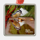 Search for bird watcher christmas tree decorations Ornithology
