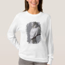 Search for bernini tshirts 17th