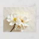 Search for white floral pattern postcards Elegant