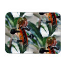 Search for violin magnets Orchestra