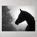Search for black horse silhouette posters Black and white