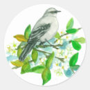 Search for mockingbird stickers Songbird