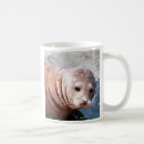 Search for seals mugs Animals