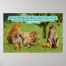 Search for barbary art Macaque