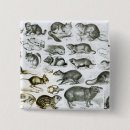 Search for rodents badges Mouse