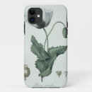 Search for papaver iphone cases Botanical
