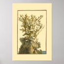 Search for algae posters Ocean