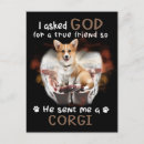 Search for friend me postcards Pet