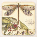 Search for dragonfly coasters Insects