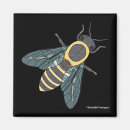 Search for honeybee magnets Yellow