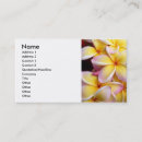 Search for frangipani business cards Plumeria